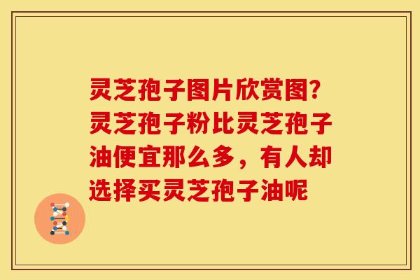 灵芝孢子图片欣赏图?灵芝孢子粉比灵芝孢子油便宜那么多,有人却选择买灵芝孢子油呢 灵芝孢子图片欣赏图?灵芝孢子粉比灵芝孢子油便宜那么多,有人却选择买灵芝孢子油呢