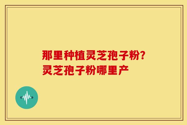那里种植灵芝孢子粉？灵芝孢子粉哪里产