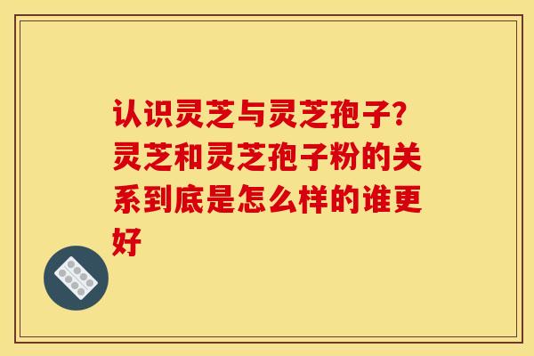 认识灵芝与灵芝孢子?灵芝和灵芝孢子粉的关系到底是怎么样的谁更好 认识灵芝与灵芝孢子?灵芝和灵芝孢子粉的关系到底是怎么样的谁更好