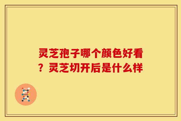 灵芝孢子哪个颜色好看?灵芝切开后是什么样 灵芝孢子哪个颜色好看?灵芝切开后是什么样