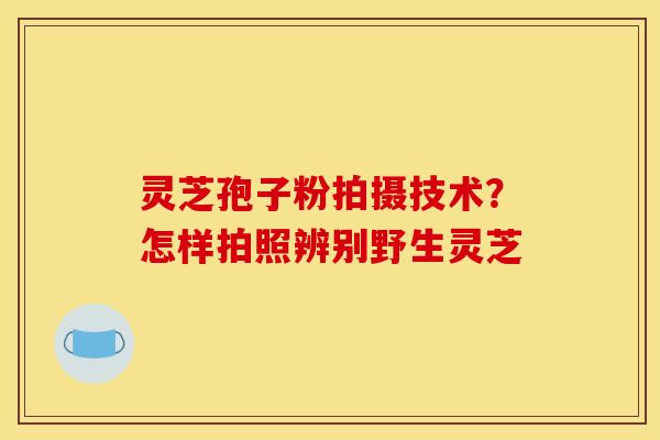 灵芝孢子粉拍摄技术?怎样拍照辨别野生灵芝 灵芝孢子粉拍摄技术?怎样拍照辨别野生灵芝