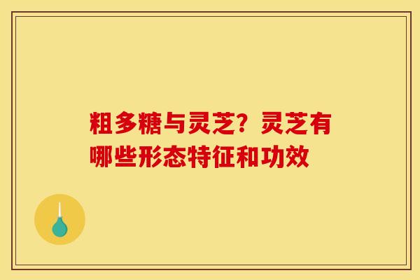 粗多糖与灵芝?灵芝有哪些形态特征和功效 粗多糖与灵芝?灵芝有哪些形态特征和功效