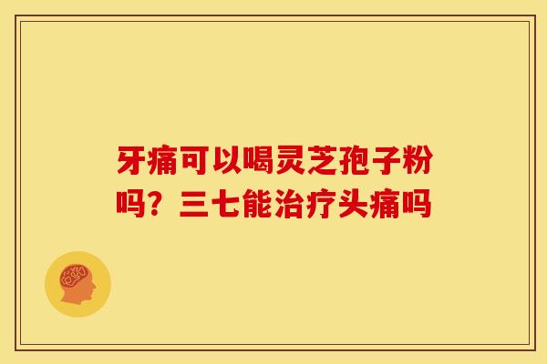牙痛可以喝灵芝孢子粉吗?三七能头痛吗 牙痛可以喝灵芝孢子粉吗?三七能头痛吗