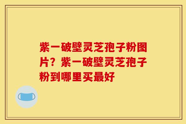 紫一破壁灵芝孢子粉图片?紫一破壁灵芝孢子粉到哪里买好 紫一破壁灵芝孢子粉图片?紫一破壁灵芝孢子粉到哪里买好