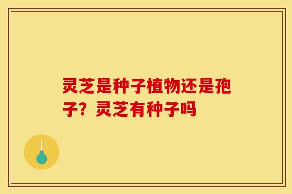灵芝是种子植物还是孢子?灵芝有种子吗 灵芝是种子植物还是孢子?灵芝有种子吗