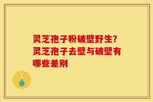 灵芝孢子粉破壁野生?灵芝孢子去壁与破壁有哪些差别 灵芝孢子粉破壁野生?灵芝孢子去壁与破壁有哪些差别