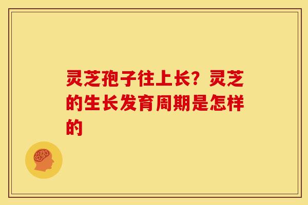 灵芝孢子往上长？灵芝的生长发育周期是怎样的