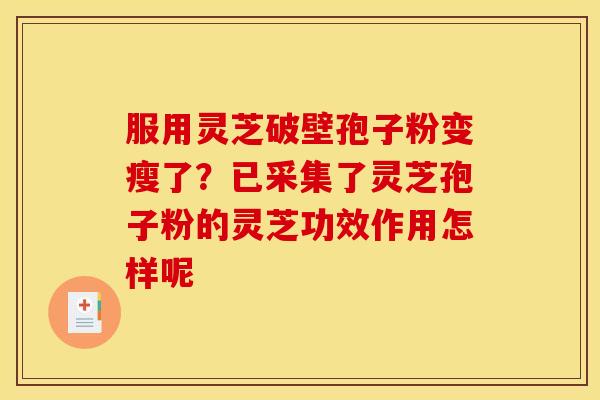 服用灵芝破壁孢子粉变瘦了？已采集了灵芝孢子粉的灵芝功效作用怎样呢