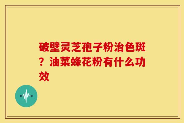 破壁灵芝孢子粉色斑?油菜蜂花粉有什么功效 破壁灵芝孢子粉色斑?油菜蜂花粉有什么功效