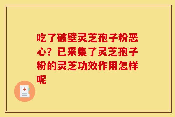 吃了破壁灵芝孢子粉恶心?已采集了灵芝孢子粉的灵芝功效作用怎样呢 吃了破壁灵芝孢子粉恶心?已采集了灵芝孢子粉的灵芝功效作用怎样呢