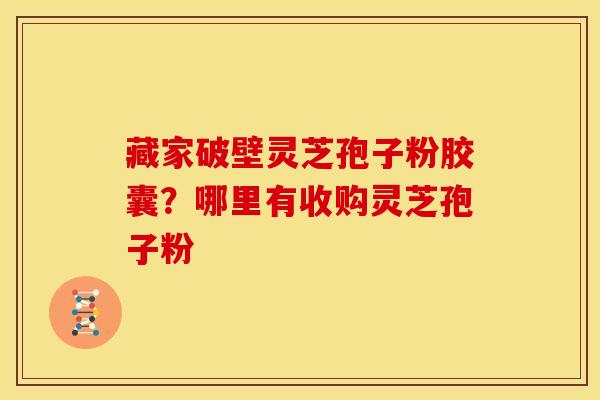 藏家破壁灵芝孢子粉胶囊?哪里有收购灵芝孢子粉 藏家破壁灵芝孢子粉胶囊?哪里有收购灵芝孢子粉