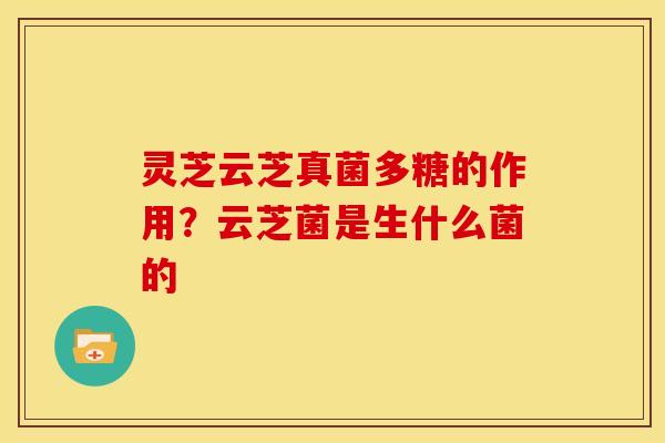 灵芝云芝真菌多糖的作用?云芝菌是生什么菌的 灵芝云芝真菌多糖的作用?云芝菌是生什么菌的