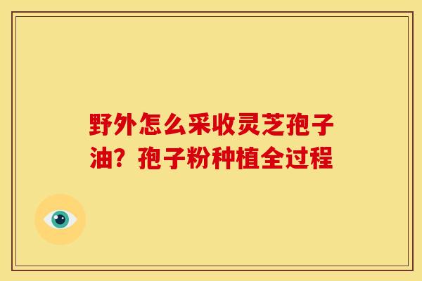 野外怎么采收灵芝孢子油?孢子粉种植全过程 野外怎么采收灵芝孢子油?孢子粉种植全过程
