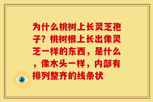 为什么桃树上长灵芝孢子?桃树根上长出像灵芝一样的东西,是什么,像木头一样,内部有排列整齐的线条状 为什么桃树上长灵芝孢子?桃树根上长出像灵芝一样的东西,是什么,像木头一样,内部有排列整齐的线条状