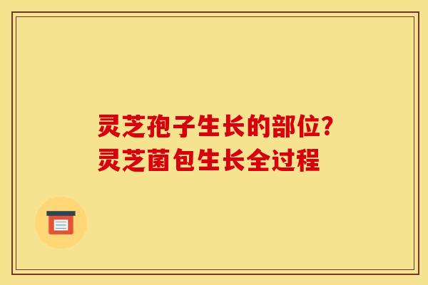 灵芝孢子生长的部位?灵芝菌包生长全过程 灵芝孢子生长的部位?灵芝菌包生长全过程