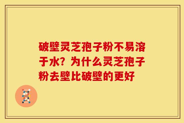 破壁灵芝孢子粉不易溶于水？为什么灵芝孢子粉去壁比破壁的更好