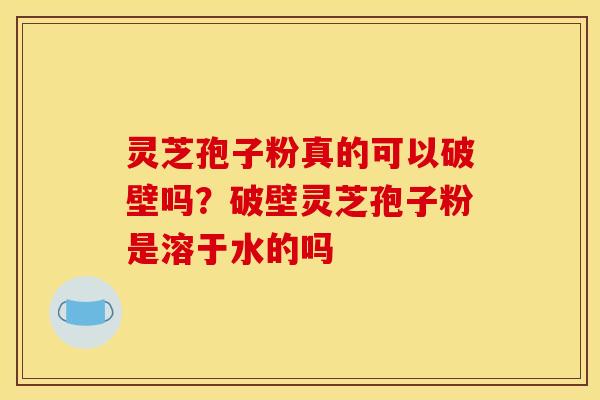 灵芝孢子粉真的可以破壁吗?破壁灵芝孢子粉是溶于水的吗 灵芝孢子粉真的可以破壁吗?破壁灵芝孢子粉是溶于水的吗