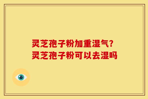 灵芝孢子粉加重湿气?灵芝孢子粉可以去湿吗 灵芝孢子粉加重湿气?灵芝孢子粉可以去湿吗
