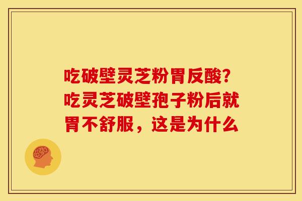 吃破壁灵芝粉胃反酸?吃灵芝破壁孢子粉后就胃不舒服,这是为什么 吃破壁灵芝粉胃反酸?吃灵芝破壁孢子粉后就胃不舒服,这是为什么