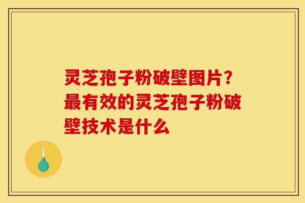 灵芝孢子粉破壁图片?有效的灵芝孢子粉破壁技术是什么 灵芝孢子粉破壁图片?有效的灵芝孢子粉破壁技术是什么