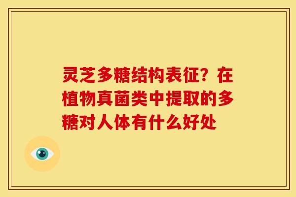 灵芝多糖结构表征？在植物真菌类中提取的多糖对人体有什么好处