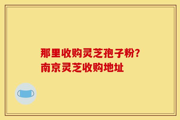 那里收购灵芝孢子粉?南京灵芝收购地址 那里收购灵芝孢子粉?南京灵芝收购地址