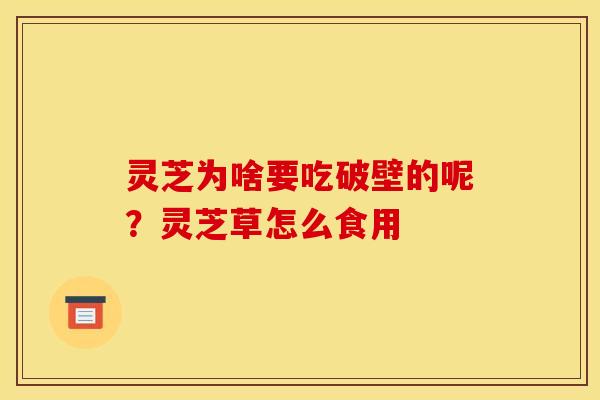 灵芝为啥要吃破壁的呢？灵芝草怎么食用