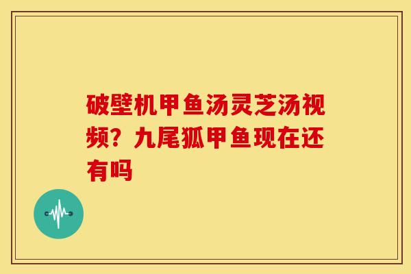 破壁机甲鱼汤灵芝汤视频?九尾狐甲鱼现在还有吗 破壁机甲鱼汤灵芝汤视频?九尾狐甲鱼现在还有吗