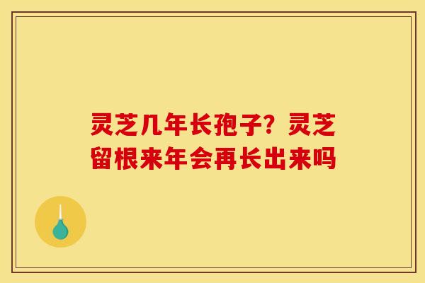 灵芝几年长孢子?灵芝留根来年会再长出来吗 灵芝几年长孢子?灵芝留根来年会再长出来吗