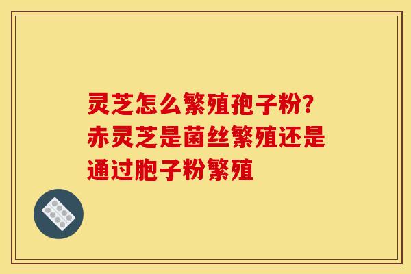 灵芝怎么繁殖孢子粉？赤灵芝是菌丝繁殖还是通过胞子粉繁殖
