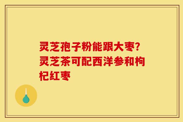 灵芝孢子粉能跟大枣?灵芝茶可配西洋参和枸杞红枣 灵芝孢子粉能跟大枣?灵芝茶可配西洋参和枸杞红枣