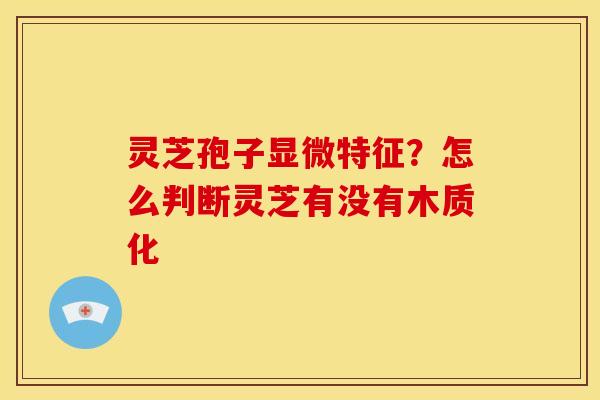 灵芝孢子显微特征?怎么判断灵芝有没有木质化 灵芝孢子显微特征?怎么判断灵芝有没有木质化