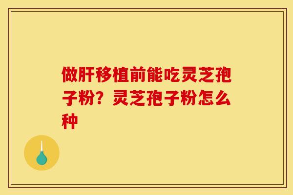做移植前能吃灵芝孢子粉?灵芝孢子粉怎么种 做移植前能吃灵芝孢子粉?灵芝孢子粉怎么种