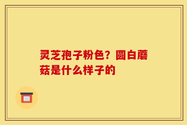 灵芝孢子粉色?圆白蘑菇是什么样子的 灵芝孢子粉色?圆白蘑菇是什么样子的