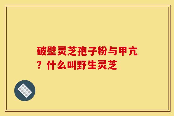 破壁灵芝孢子粉与甲亢?什么叫野生灵芝 破壁灵芝孢子粉与甲亢?什么叫野生灵芝