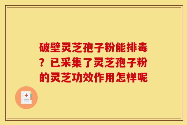 破壁灵芝孢子粉能？已采集了灵芝孢子粉的灵芝功效作用怎样呢
