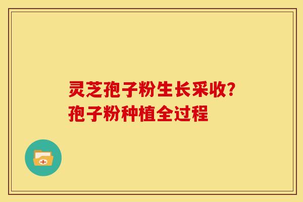 灵芝孢子粉生长采收?孢子粉种植全过程 灵芝孢子粉生长采收?孢子粉种植全过程