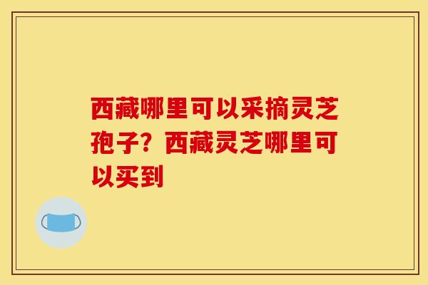西藏哪里可以采摘灵芝孢子?西藏灵芝哪里可以买到 西藏哪里可以采摘灵芝孢子?西藏灵芝哪里可以买到