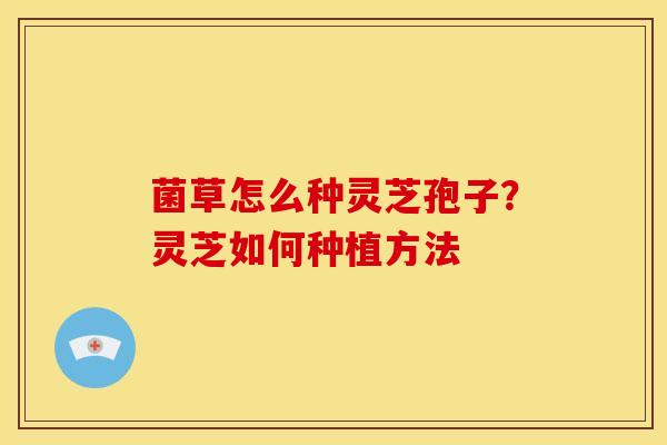 菌草怎么种灵芝孢子?灵芝如何种植方法 菌草怎么种灵芝孢子?灵芝如何种植方法