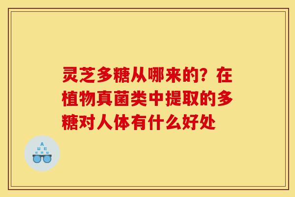 灵芝多糖从哪来的?在植物真菌类中提取的多糖对人体有什么好处 灵芝多糖从哪来的?在植物真菌类中提取的多糖对人体有什么好处