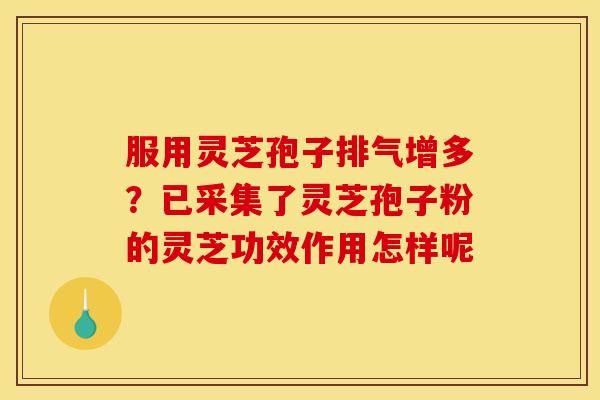 服用灵芝孢子排气增多?已采集了灵芝孢子粉的灵芝功效作用怎样呢 服用灵芝孢子排气增多?已采集了灵芝孢子粉的灵芝功效作用怎样呢