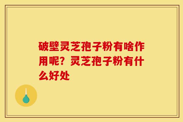 破壁灵芝孢子粉有啥作用呢？灵芝孢子粉有什么好处