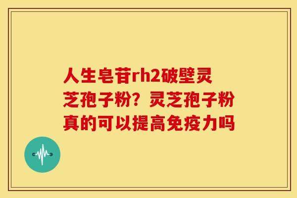 人生皂苷rh2破壁灵芝孢子粉?灵芝孢子粉真的可以提高免疫力吗 人生皂苷rh2破壁灵芝孢子粉?灵芝孢子粉真的可以提高免疫力吗