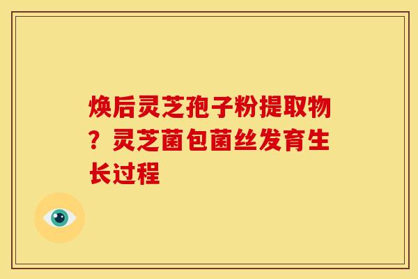 焕后灵芝孢子粉提取物?灵芝菌包菌丝发育生长过程 焕后灵芝孢子粉提取物?灵芝菌包菌丝发育生长过程