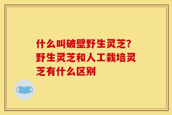 什么叫破壁野生灵芝?野生灵芝和人工栽培灵芝有什么区别 什么叫破壁野生灵芝?野生灵芝和人工栽培灵芝有什么区别