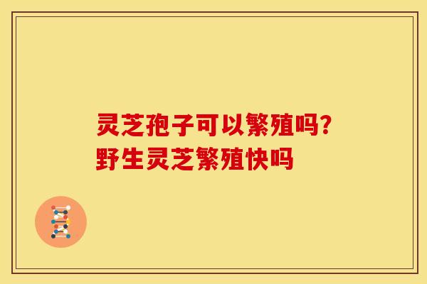 灵芝孢子可以繁殖吗?野生灵芝繁殖快吗 灵芝孢子可以繁殖吗?野生灵芝繁殖快吗