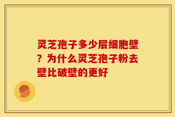 灵芝孢子多少层细胞壁?为什么灵芝孢子粉去壁比破壁的更好 灵芝孢子多少层细胞壁?为什么灵芝孢子粉去壁比破壁的更好