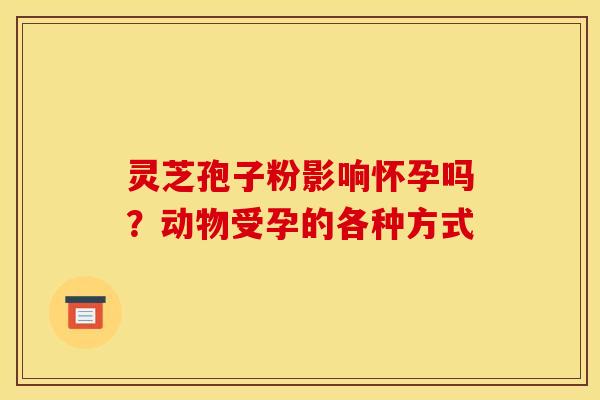 灵芝孢子粉影响怀孕吗？动物受孕的各种方式