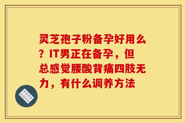 灵芝孢子粉备孕好用么？IT男正在备孕，但总感觉腰酸背痛四肢无力，有什么调养方法