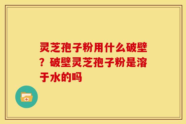 灵芝孢子粉用什么破壁?破壁灵芝孢子粉是溶于水的吗 灵芝孢子粉用什么破壁?破壁灵芝孢子粉是溶于水的吗